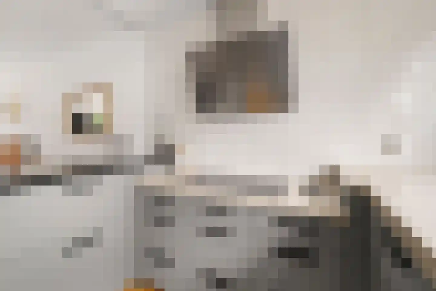Geddingmoor 2 Nieuw-Vennep thumbnail 10