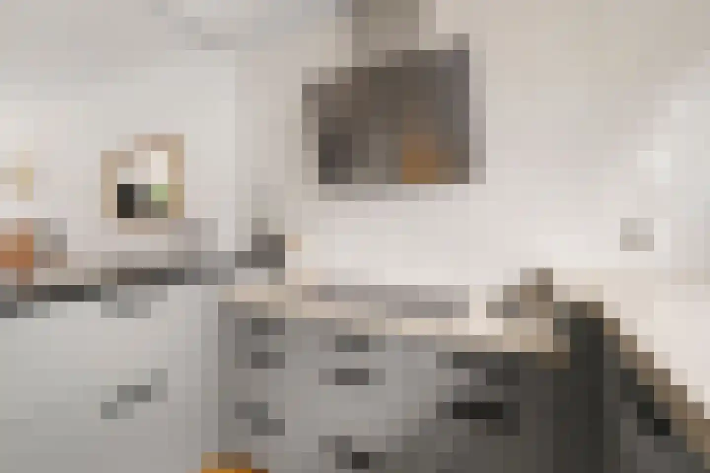 Geddingmoor 2 Nieuw-Vennep thumbnail 10