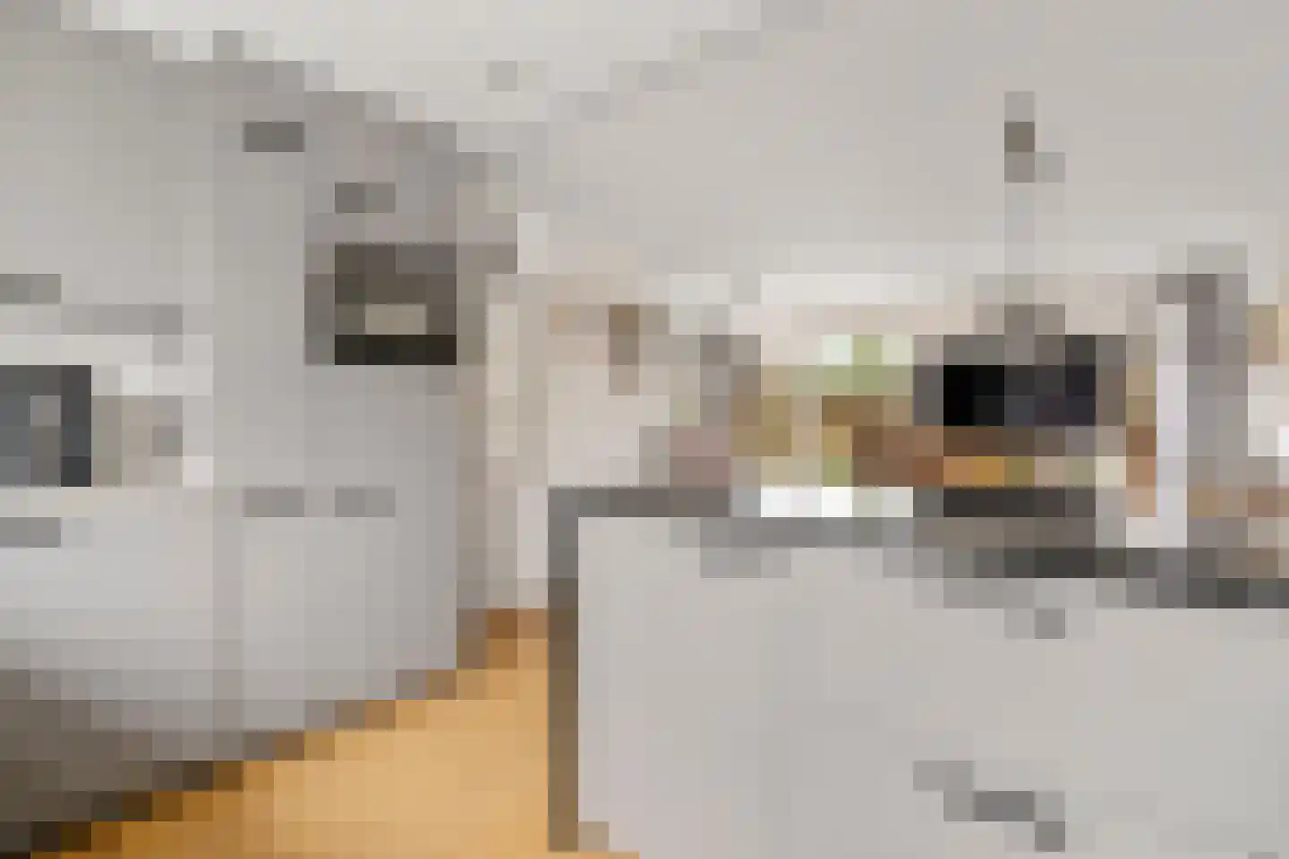 Geddingmoor 2 Nieuw-Vennep thumbnail 11
