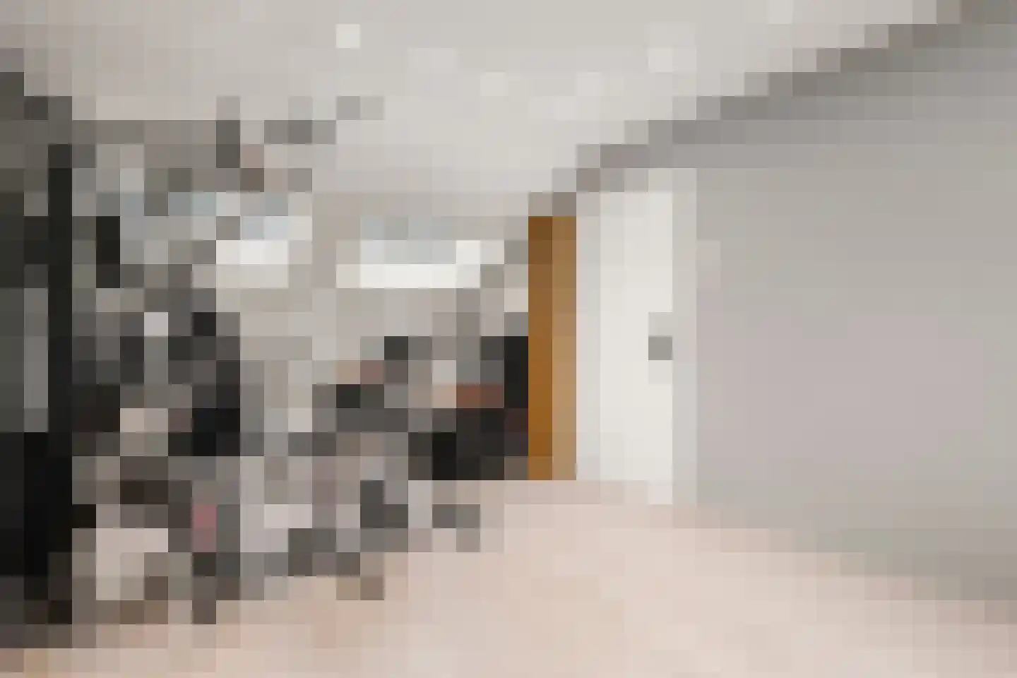 Geddingmoor 2 Nieuw-Vennep thumbnail 27