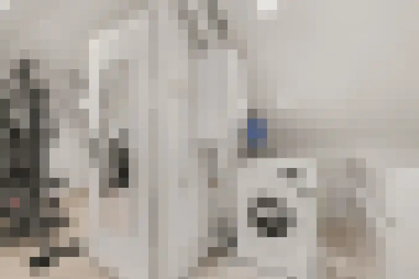 Geddingmoor 2 Nieuw-Vennep thumbnail 30