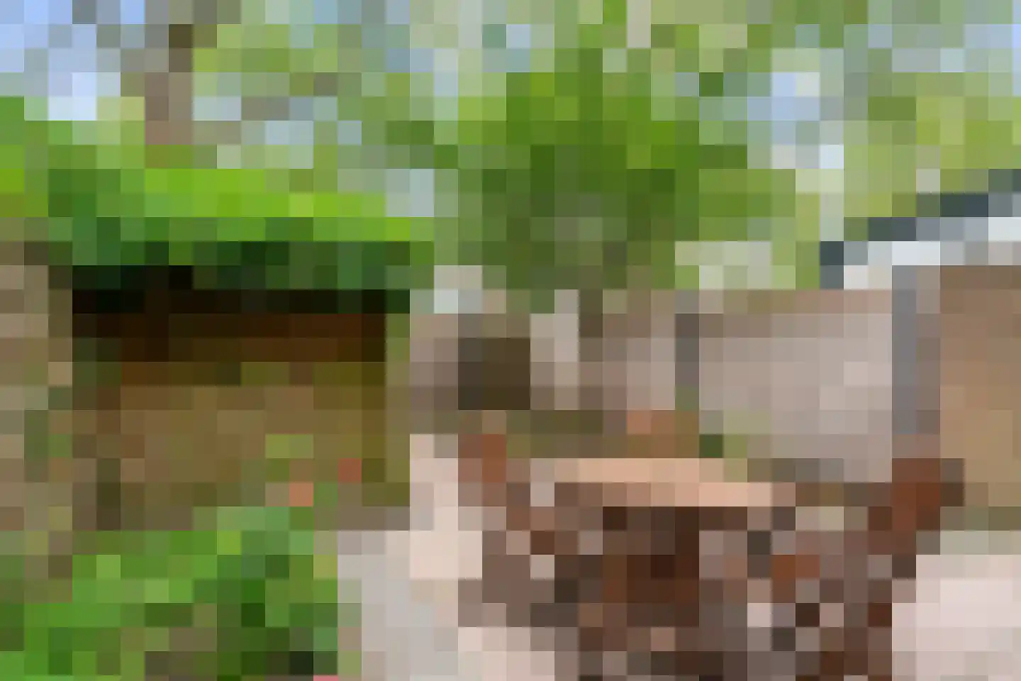 Geddingmoor 2 Nieuw-Vennep thumbnail 31