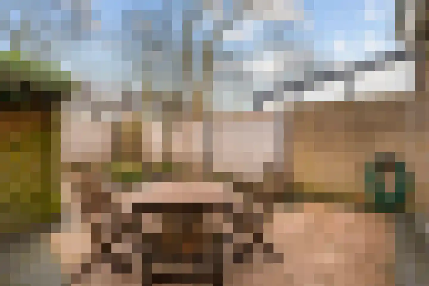 Geddingmoor 2 Nieuw-Vennep thumbnail 31