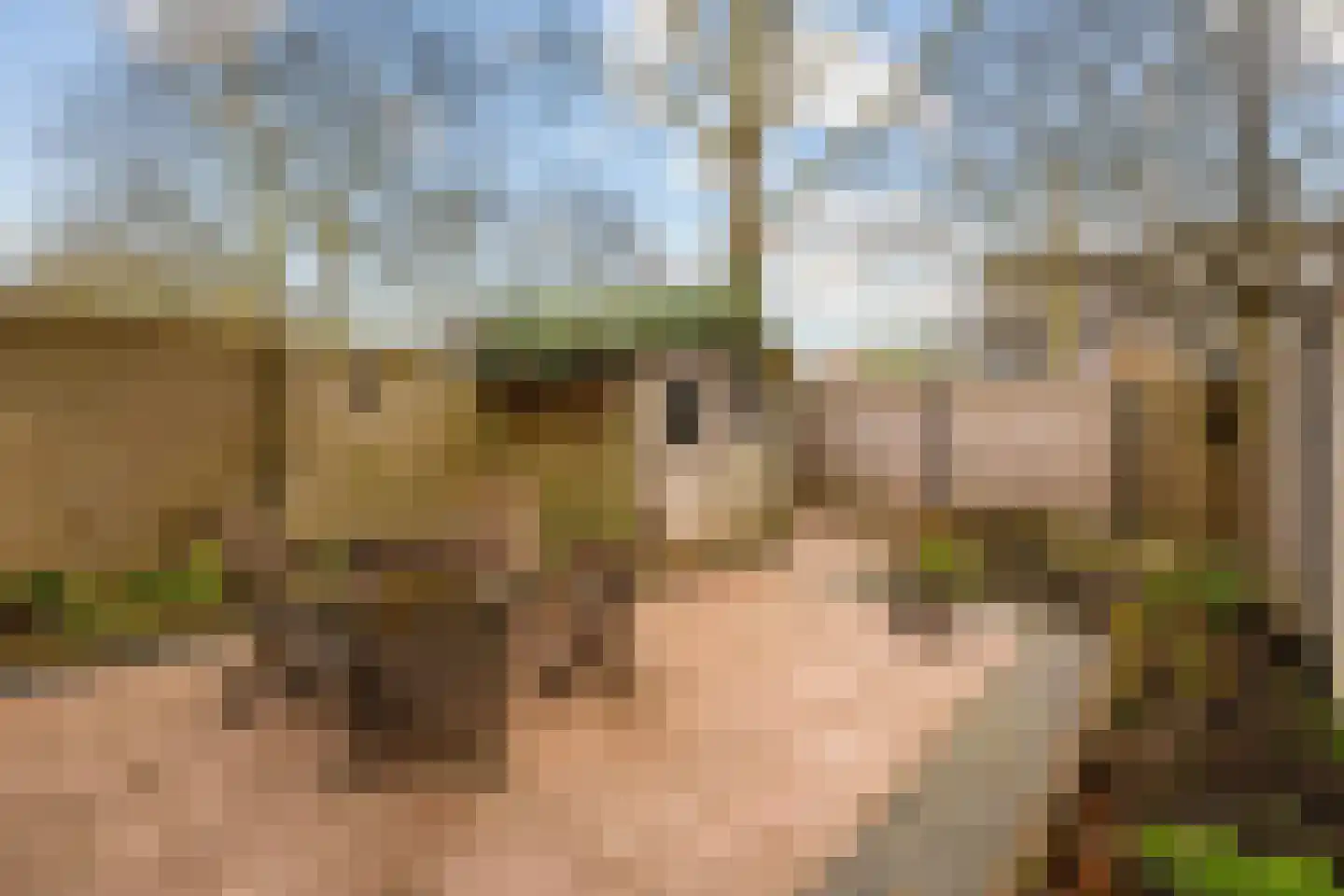 Geddingmoor 2 Nieuw-Vennep thumbnail 32
