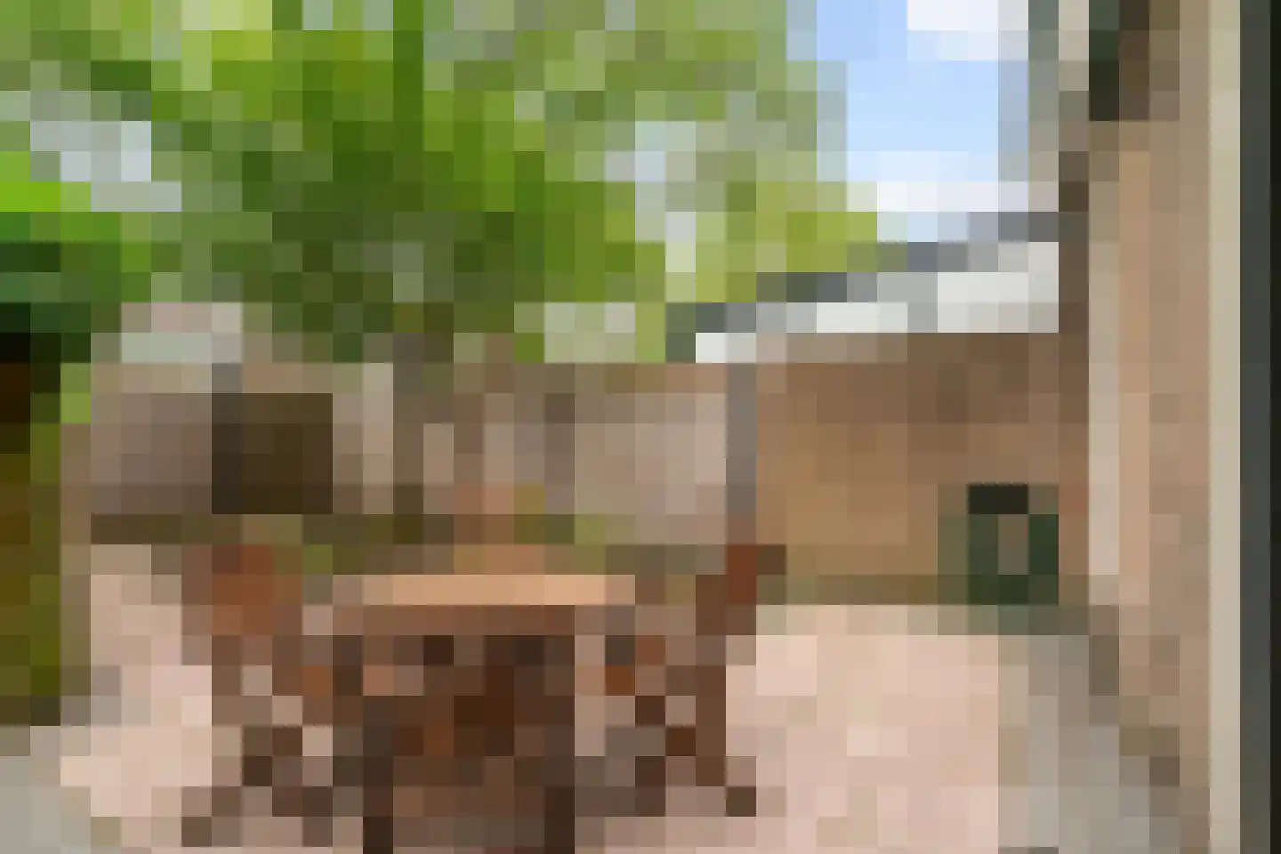 Geddingmoor 2 Nieuw-Vennep thumbnail 32