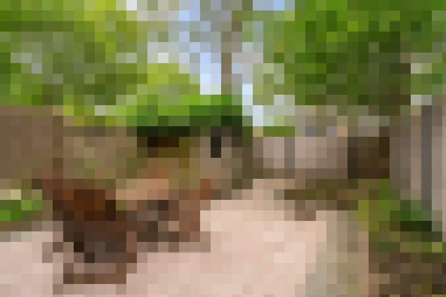 Geddingmoor 2 Nieuw-Vennep thumbnail 33