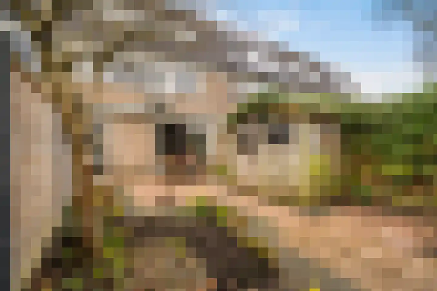 Geddingmoor 2 Nieuw-Vennep thumbnail 33