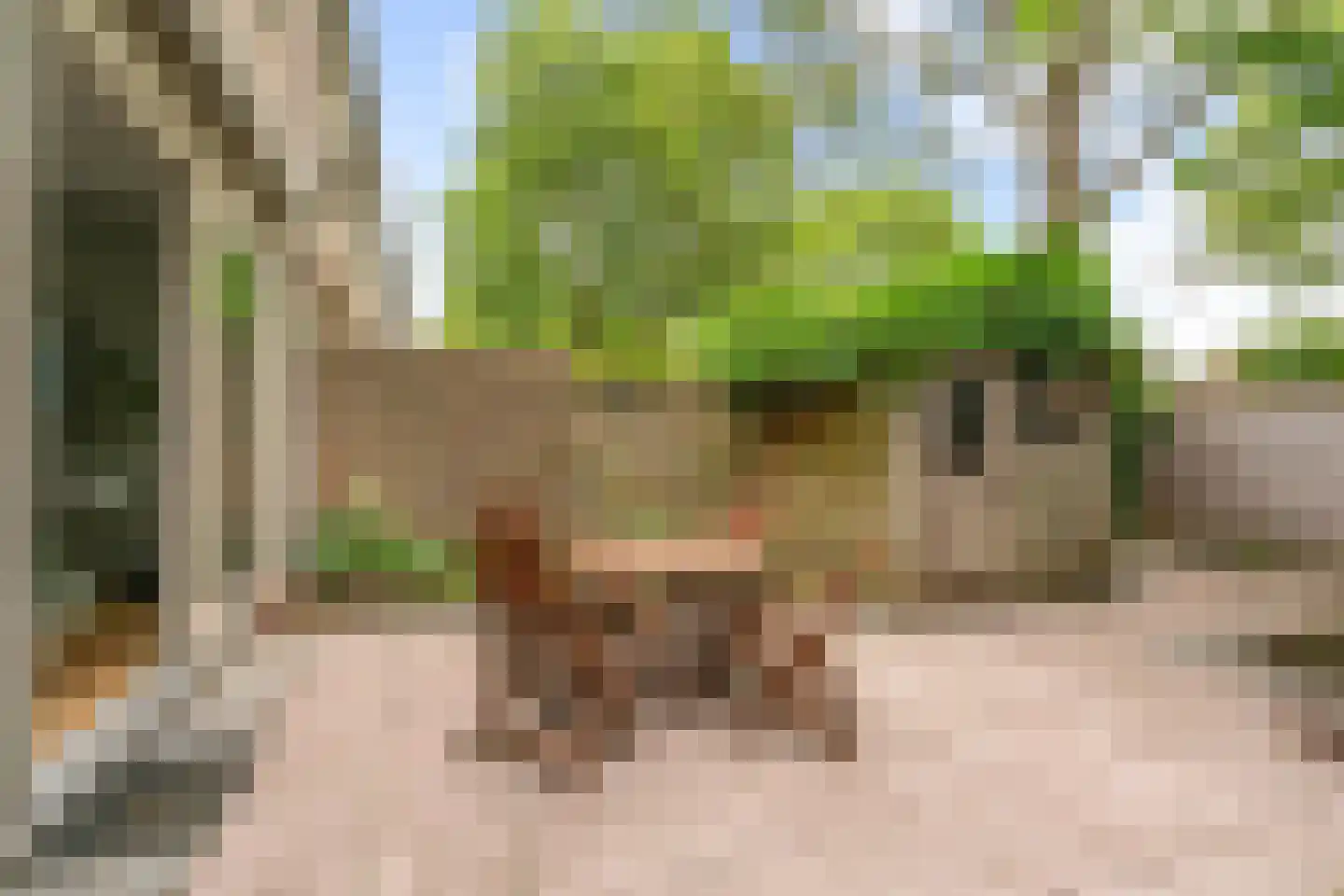 Geddingmoor 2 Nieuw-Vennep thumbnail 34