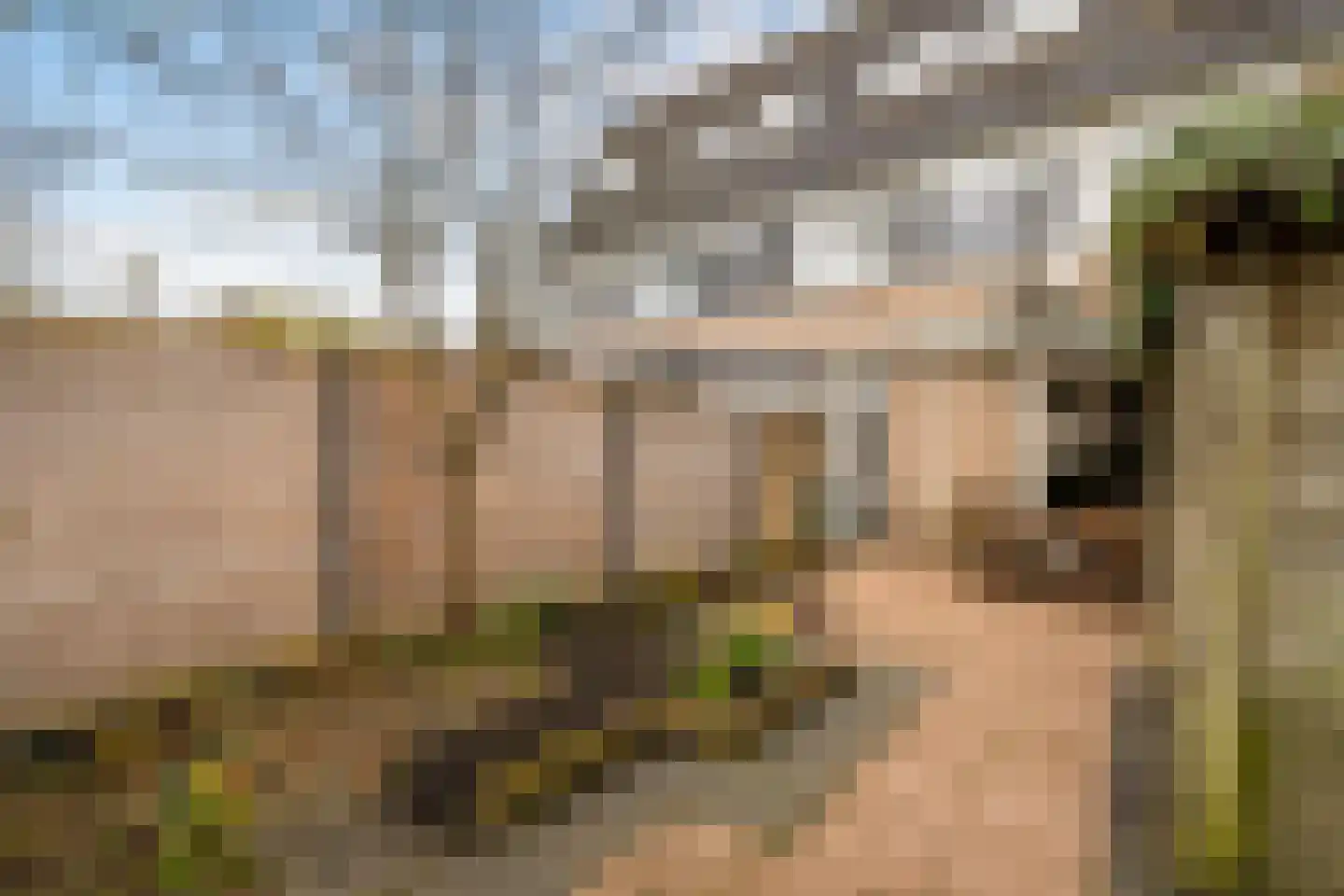 Geddingmoor 2 Nieuw-Vennep thumbnail 34