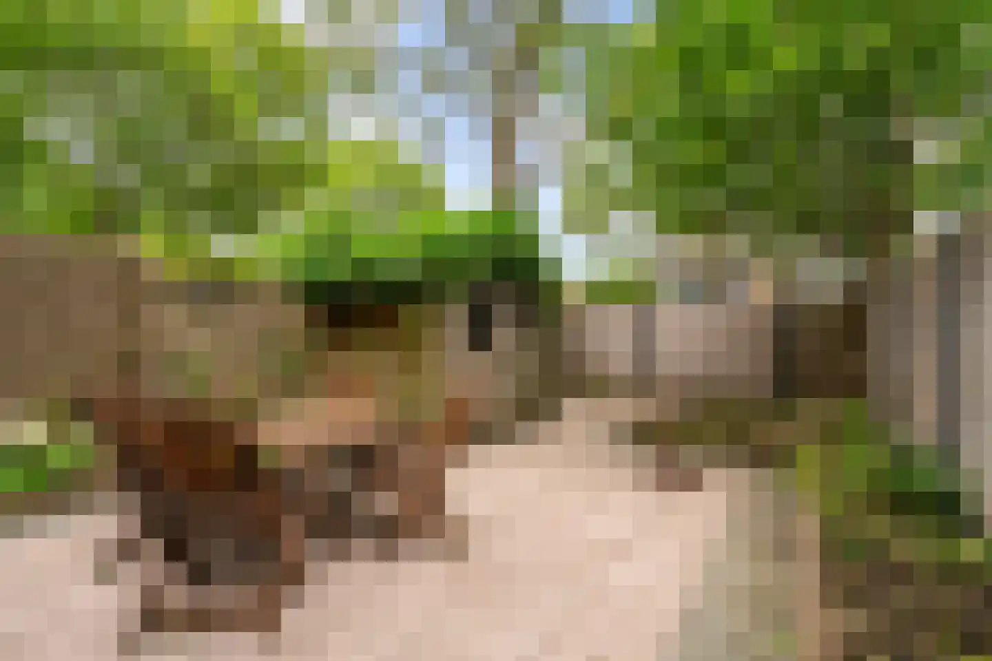 Geddingmoor 2 Nieuw-Vennep thumbnail 34
