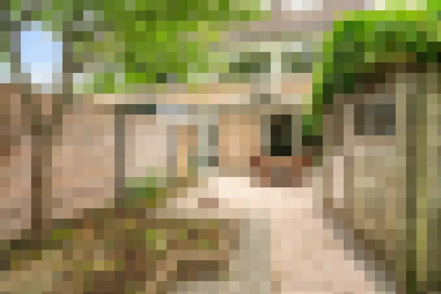 Geddingmoor 2 Nieuw-Vennep thumbnail 35