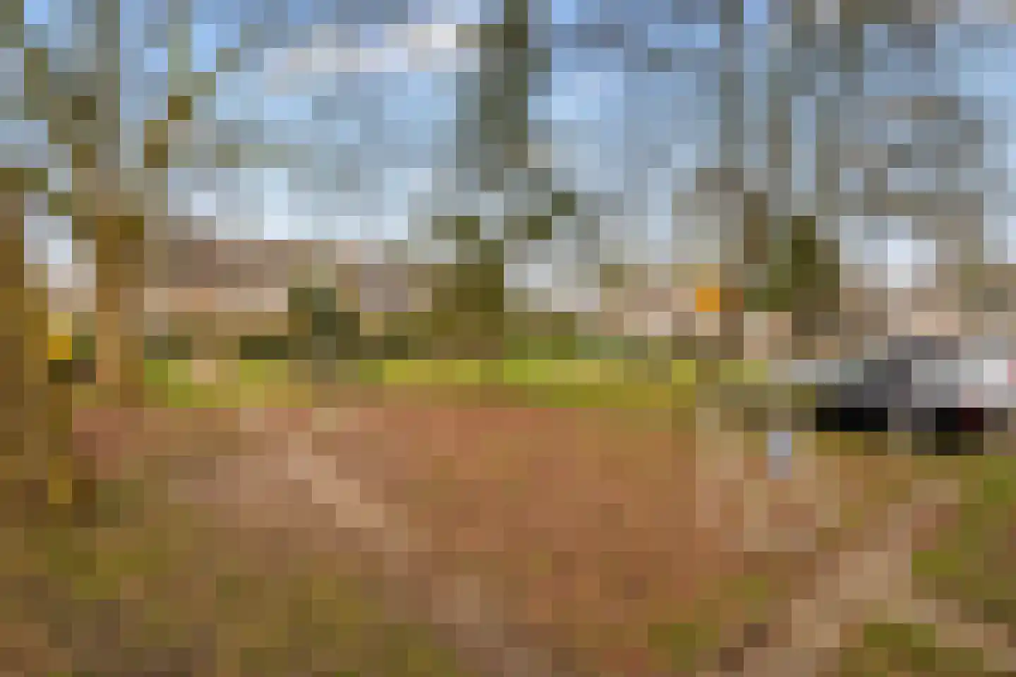 Geddingmoor 2 Nieuw-Vennep thumbnail 38