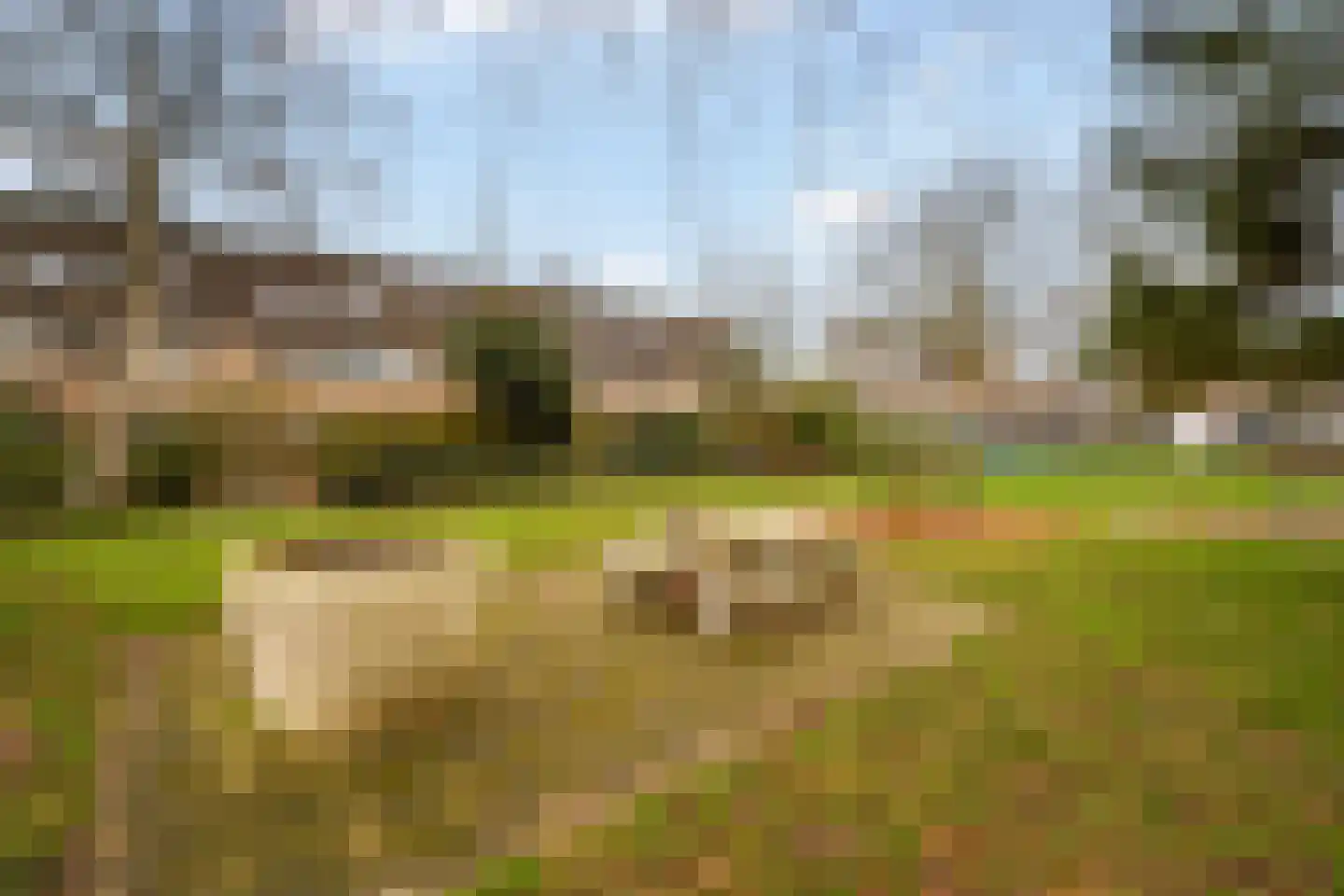 Geddingmoor 2 Nieuw-Vennep thumbnail 39