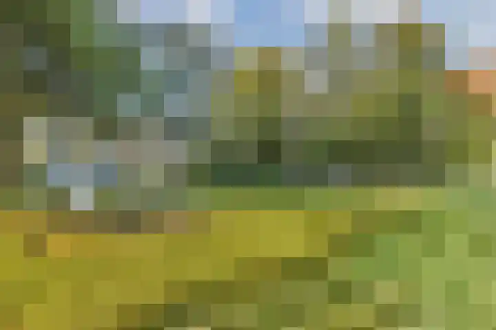Geddingmoor 9 Nieuw-Vennep thumbnail 20