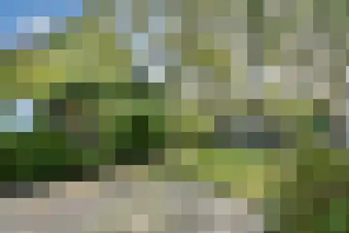 Geddingmoor 9 Nieuw-Vennep thumbnail 9