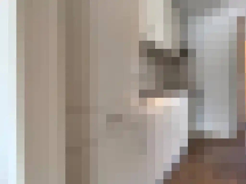 Gedempt Achterom 1 Medemblik thumbnail 15