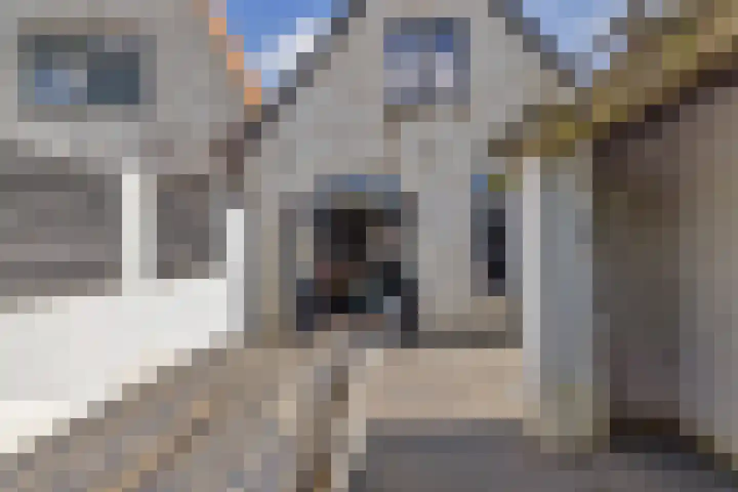 Gedempt Achterom 25 Medemblik thumbnail 62