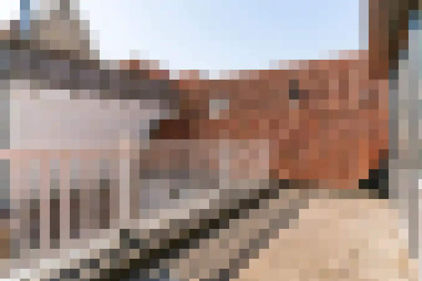 Gedempt Achterom 26 Medemblik thumbnail 20