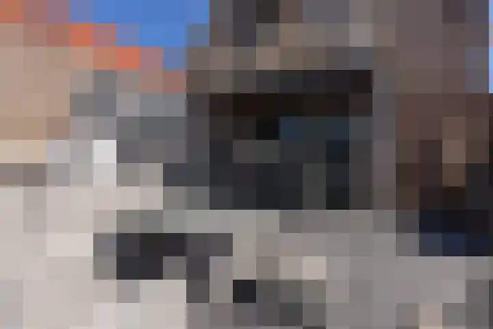 Gedempt Achterom 3 A Medemblik thumbnail 24