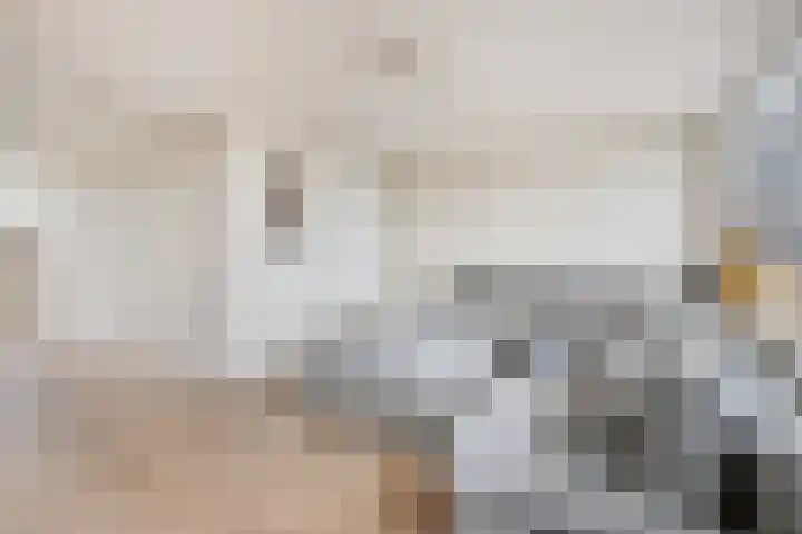 Gedempt Kanaal 13 Middelharnis thumbnail 14