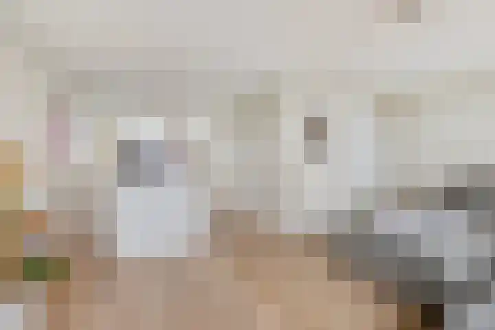 Gedempt Kanaal 13 Middelharnis thumbnail 15