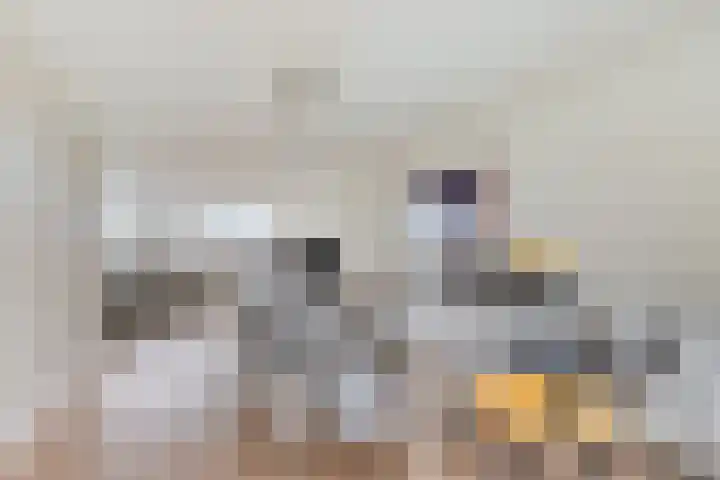 Gedempt Kanaal 13 Middelharnis thumbnail 16