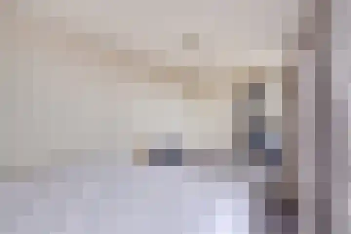 Gedempt Kanaal 13 Middelharnis thumbnail 21