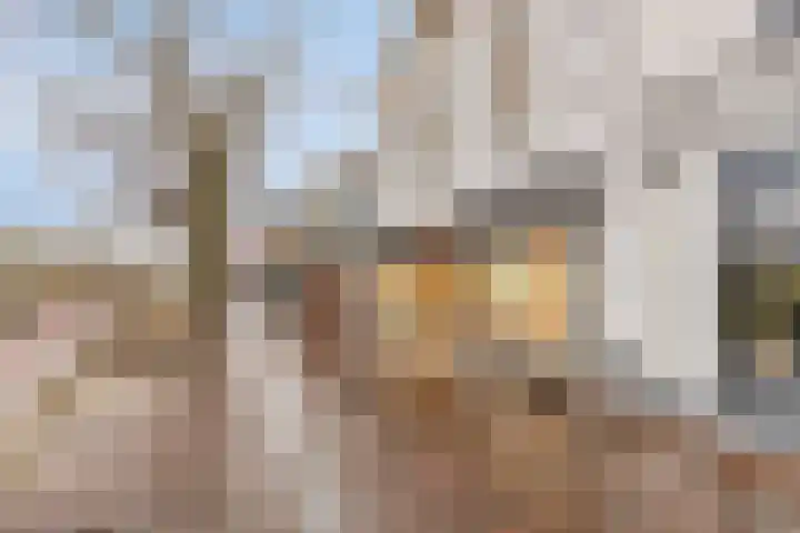 Gedempt Kanaal 13 Middelharnis thumbnail 31
