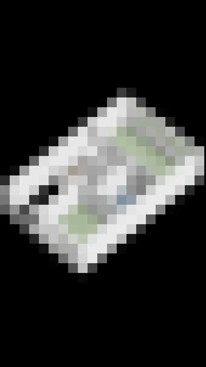 Gedempt Kanaal 13 Middelharnis thumbnail 37