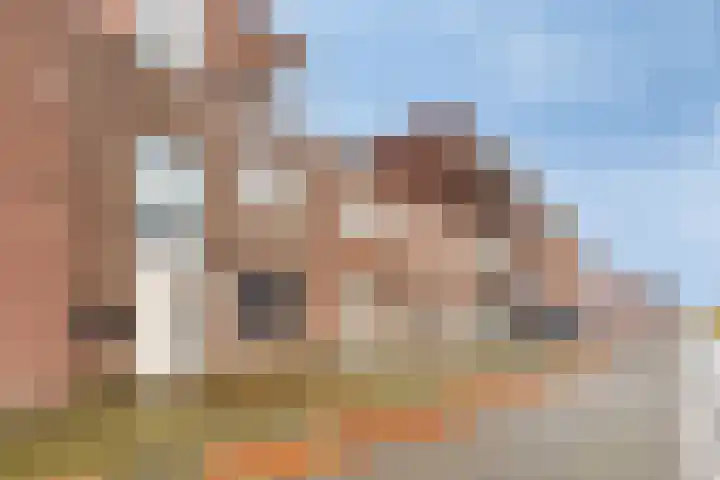 Gedempt Kanaal 13 Middelharnis thumbnail 5