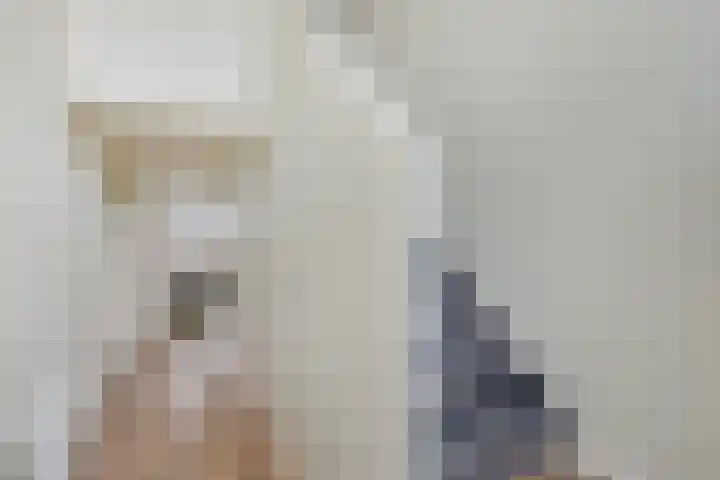 Gedempt Kanaal 13 Middelharnis thumbnail 8