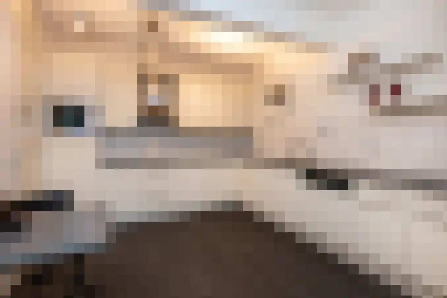Gedempt Kanaal 32 Middelharnis thumbnail 18