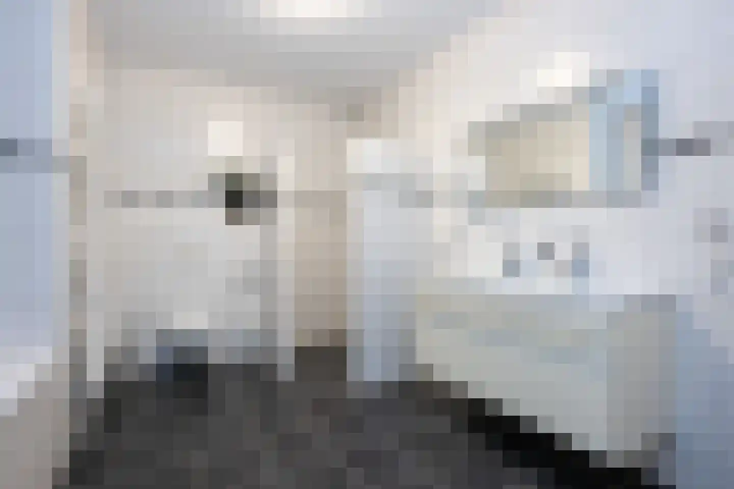 Gedempt Kanaal 32 Middelharnis thumbnail 23
