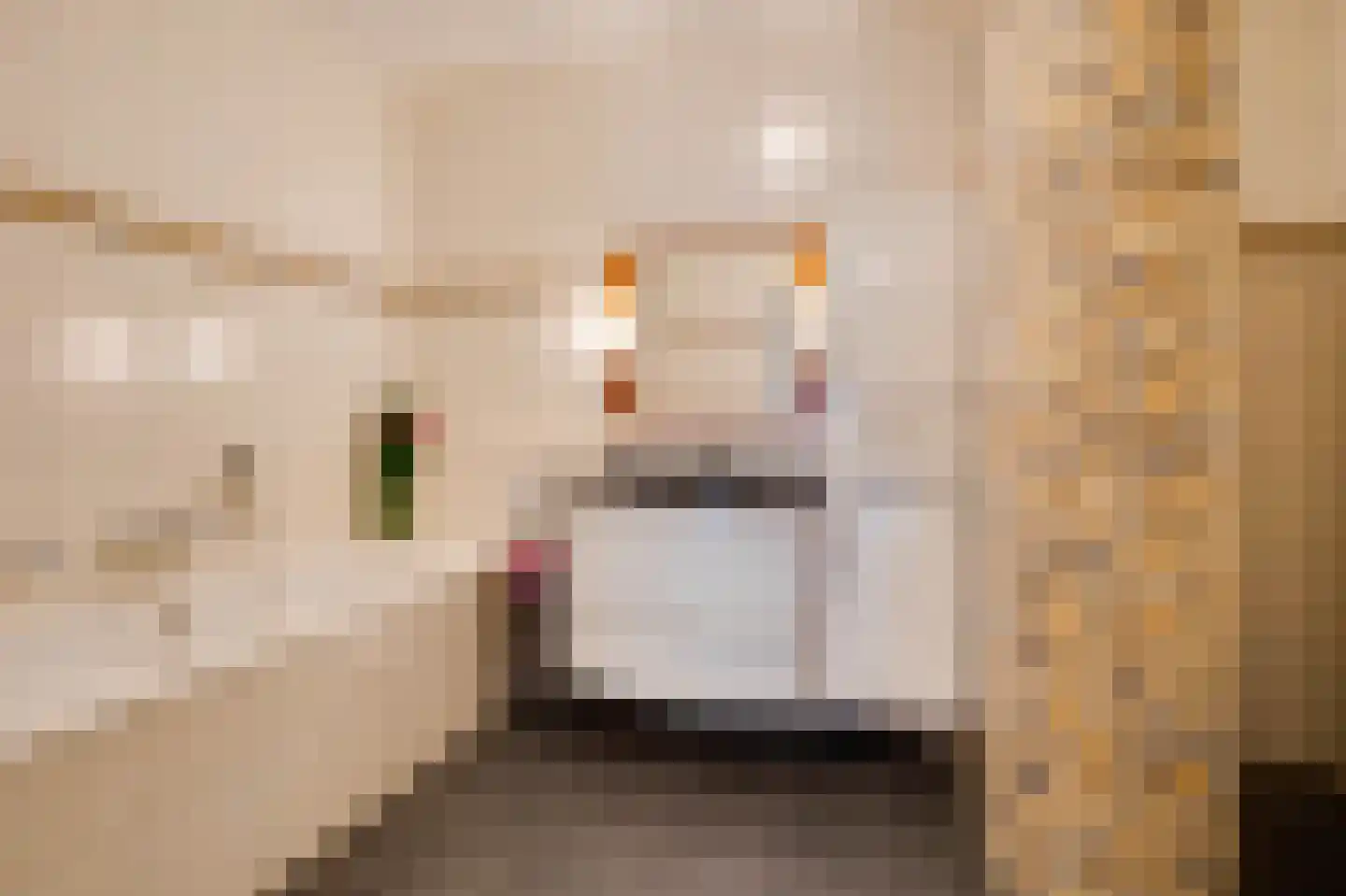 Gedempt Kanaal 34 Middelharnis thumbnail 17