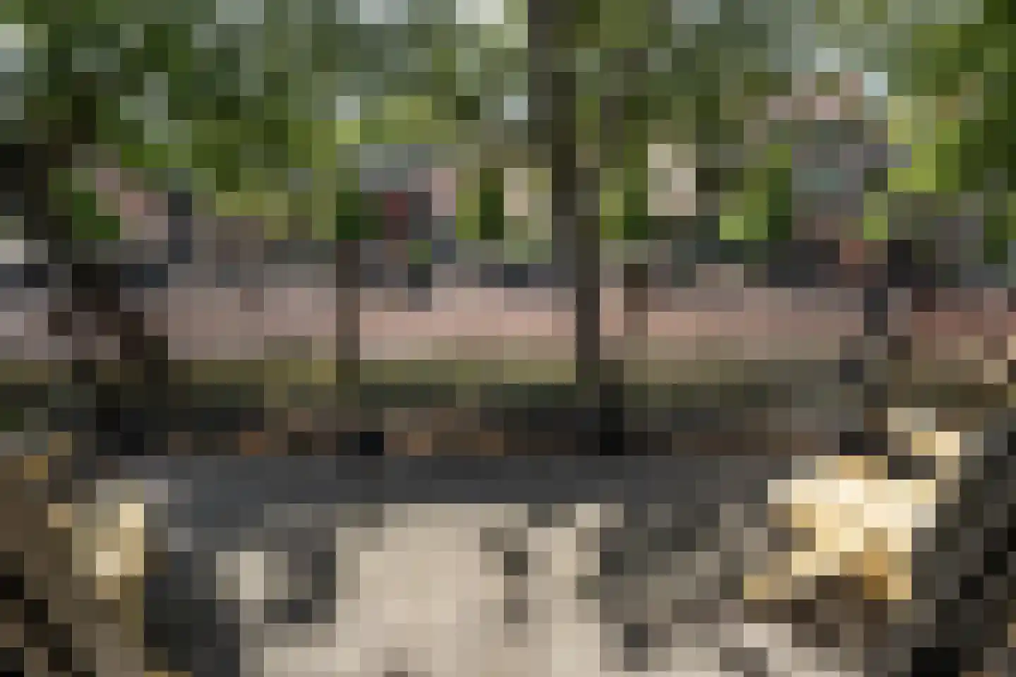 Gedempt Kanaal 45 a Middelharnis thumbnail 18
