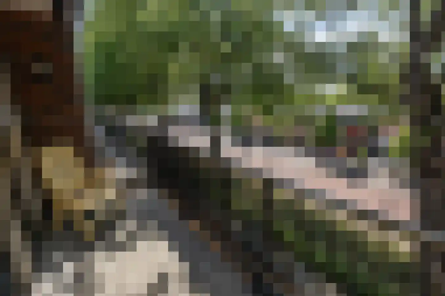 Gedempt Kanaal 45 a Middelharnis thumbnail 19