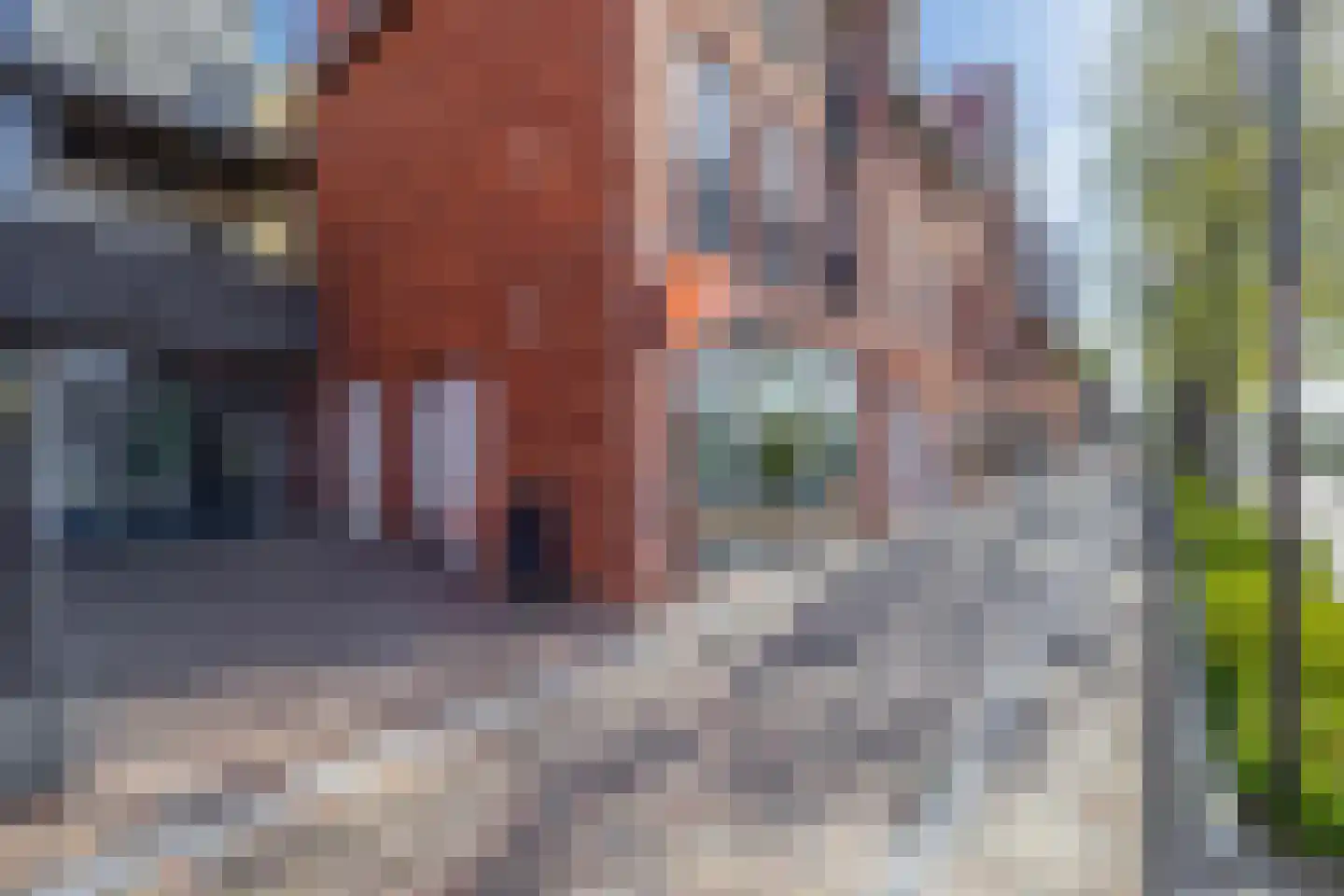 Gedempt Kanaal 49 Middelharnis thumbnail 36