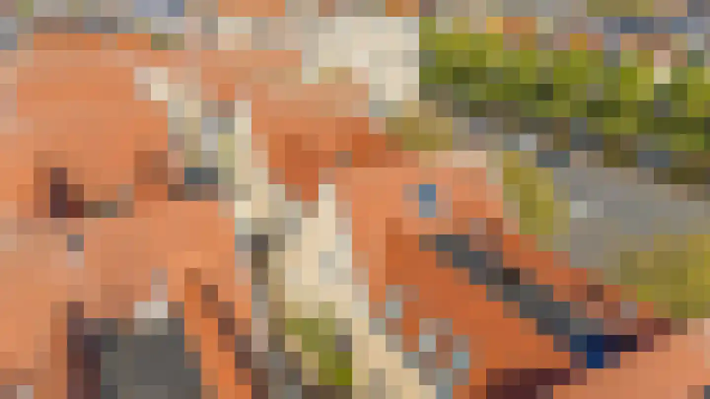 Gedempt Kanaal 49 Middelharnis thumbnail 42