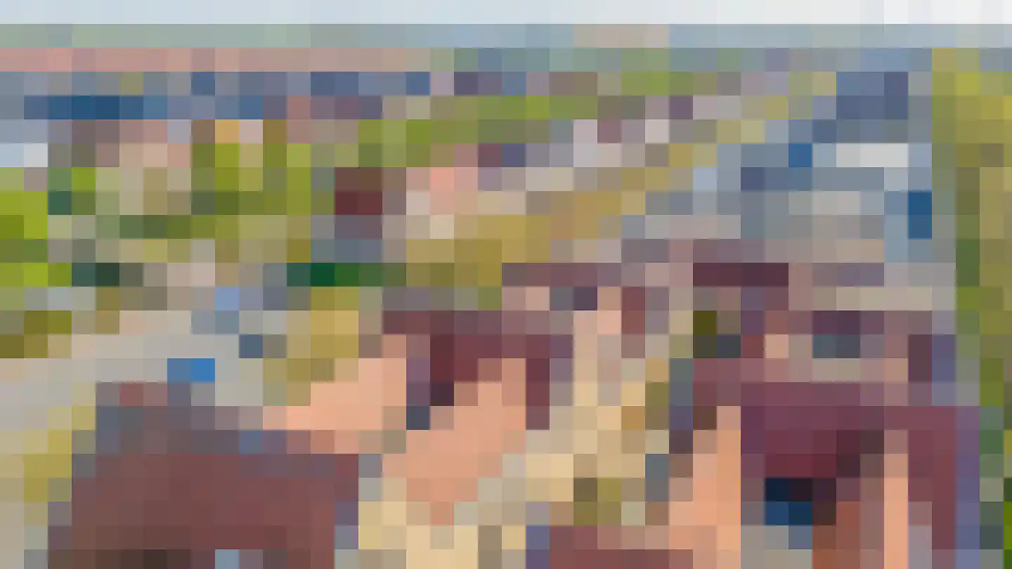 Gedempt Kanaal 49 Middelharnis thumbnail 43