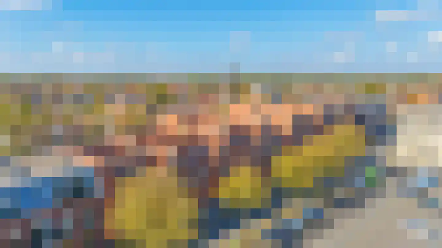 Gedempt Kanaal 49 Middelharnis thumbnail 47