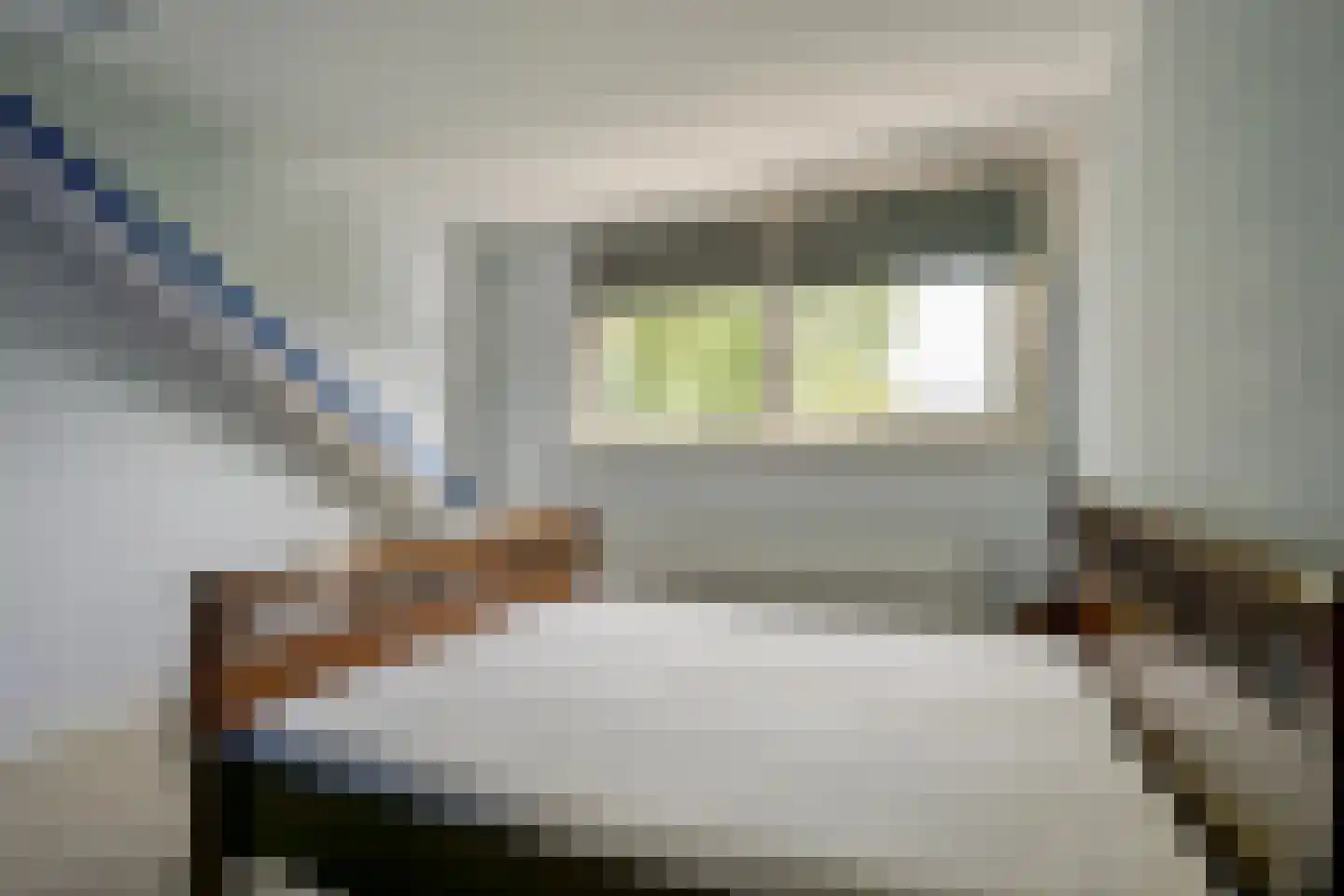 Gedempte Achterburggracht 9 Noord-Scharwoude thumbnail 19