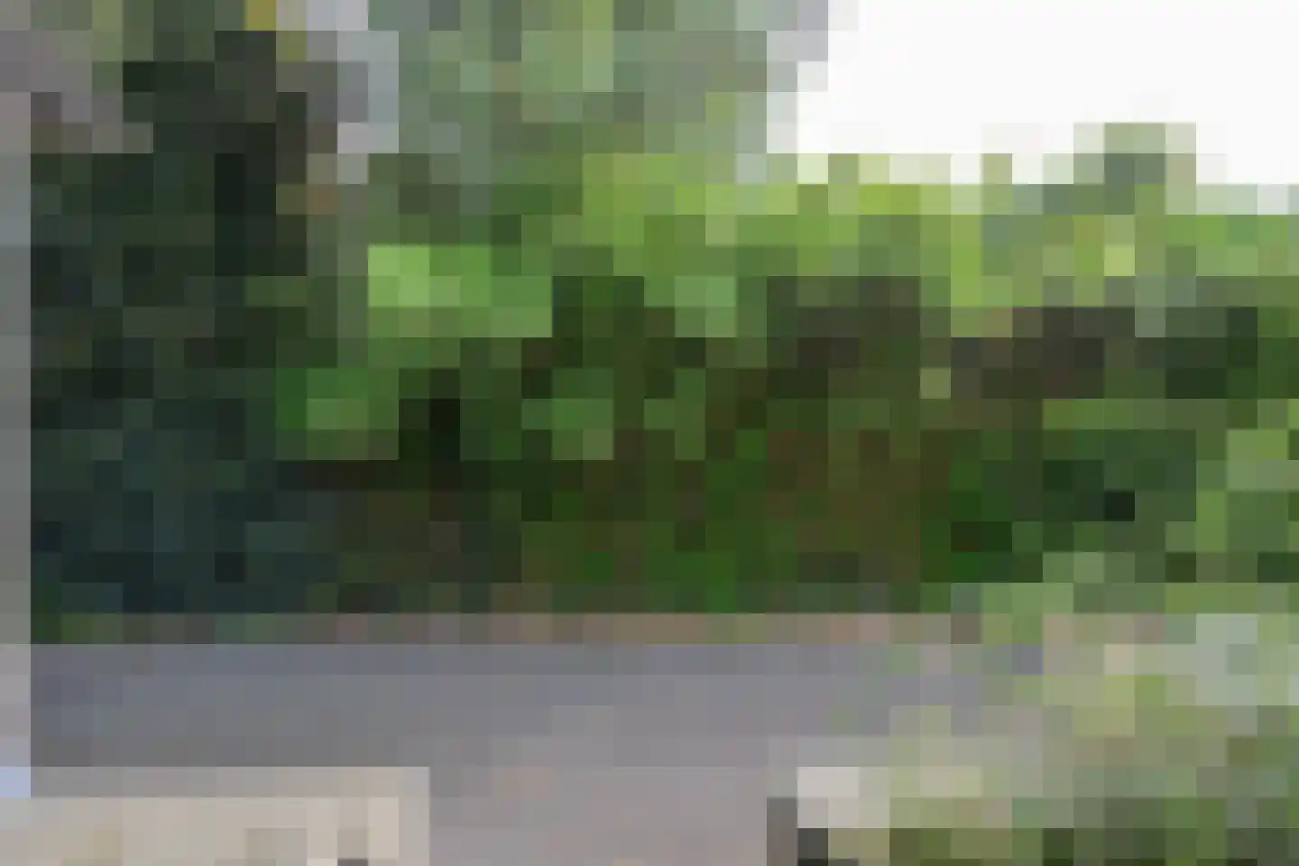 Gedempte Achterburggracht 9 Noord-Scharwoude thumbnail 27