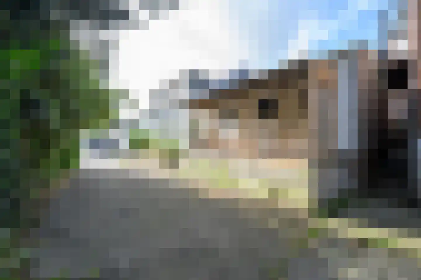 Gedempte Achterburggracht 9 Noord-Scharwoude thumbnail 28