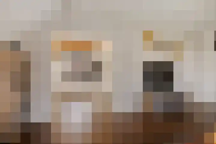 Gedempte Achterdiep 28 Nieuw-Weerdinge thumbnail 14