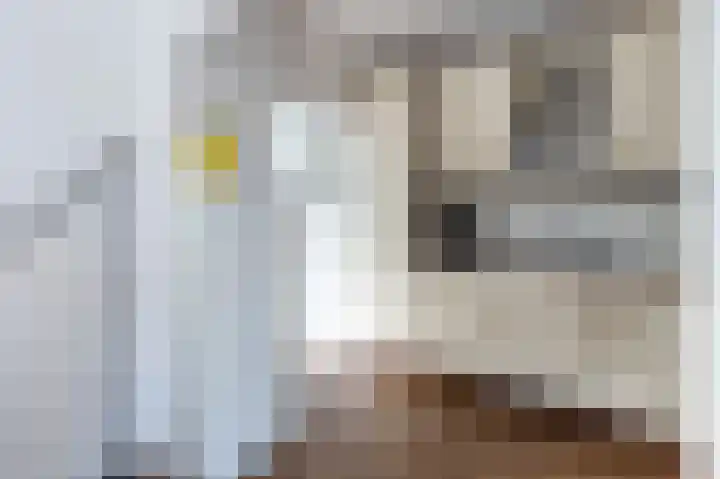 Gedempte Achterdiep 8 Nieuw-Weerdinge thumbnail 11