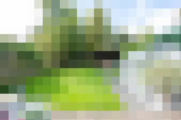 Gedempte Achterdiep 8 Nieuw-Weerdinge foto 2