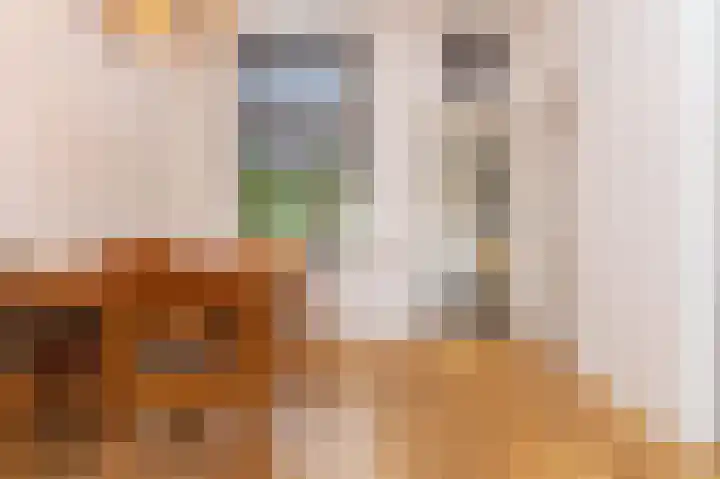 Gedempte Appelhaven 16 Hoorn thumbnail 11
