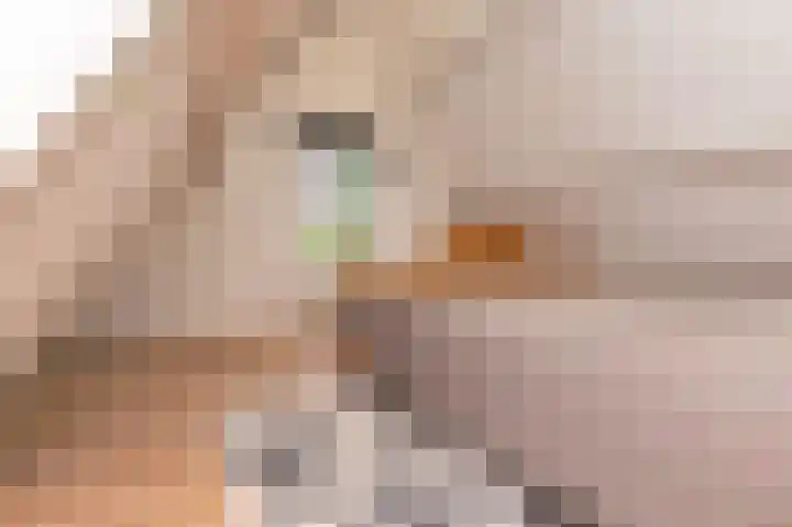 Gedempte Appelhaven 16 Hoorn thumbnail 22