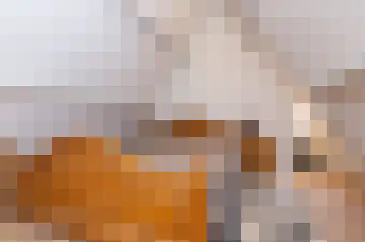 Gedempte Appelhaven 16 Hoorn thumbnail 23