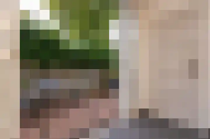 Gedempte Appelhaven 16 Hoorn thumbnail 24